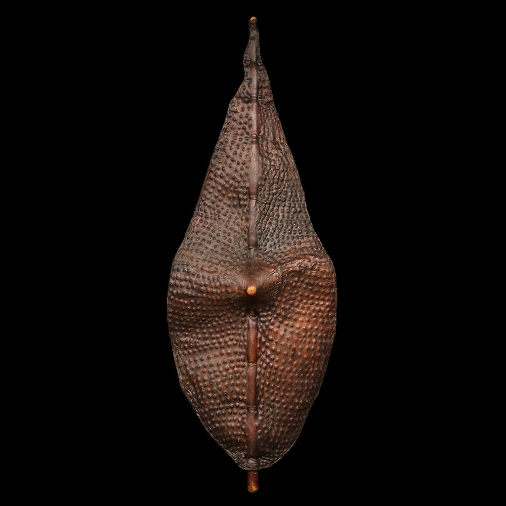 Leather Shield with Elaborate Repoussé Adornment, Nuer, South Sudan